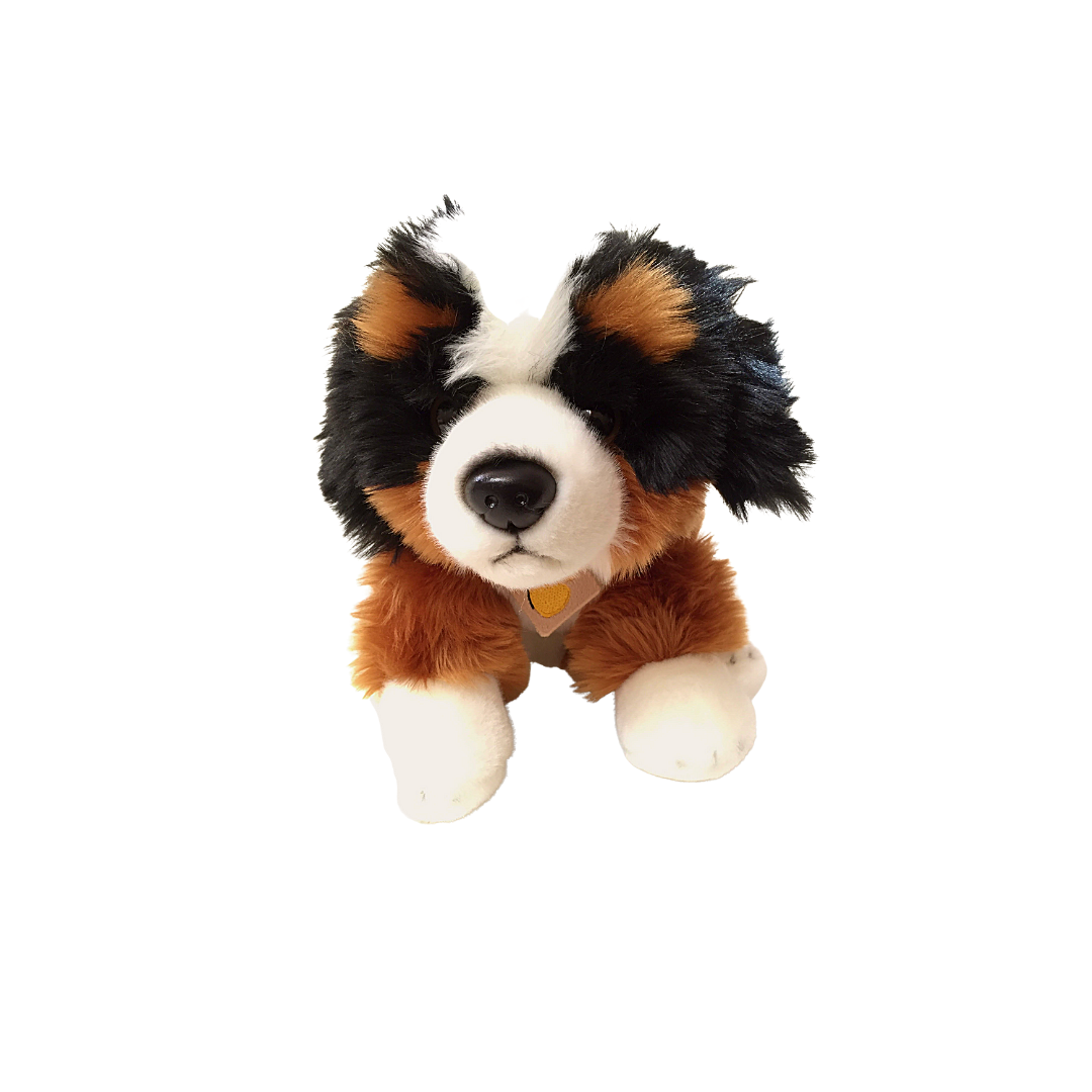 Peluche cane Bovaro Bernese - 2012