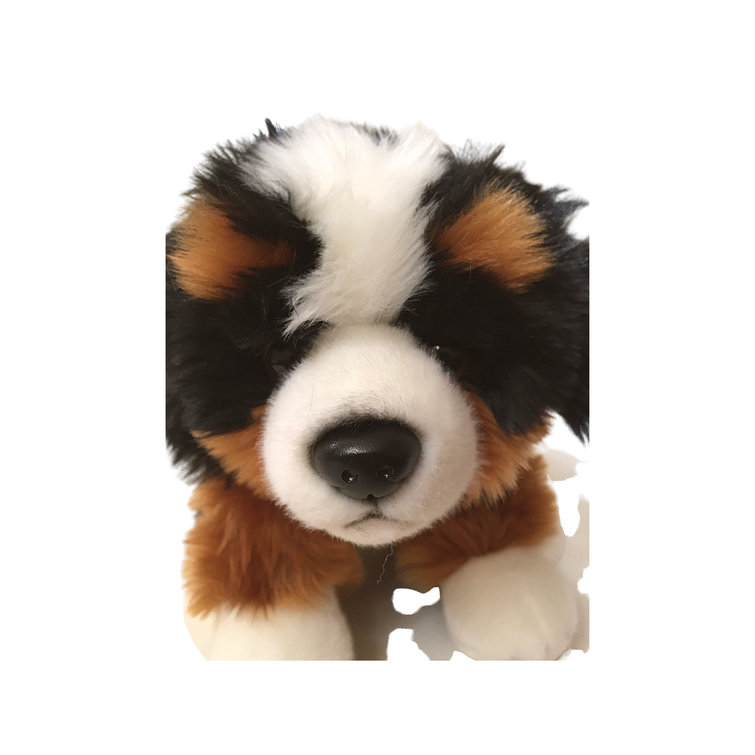 Peluche cane Bovaro Bernese - 2012