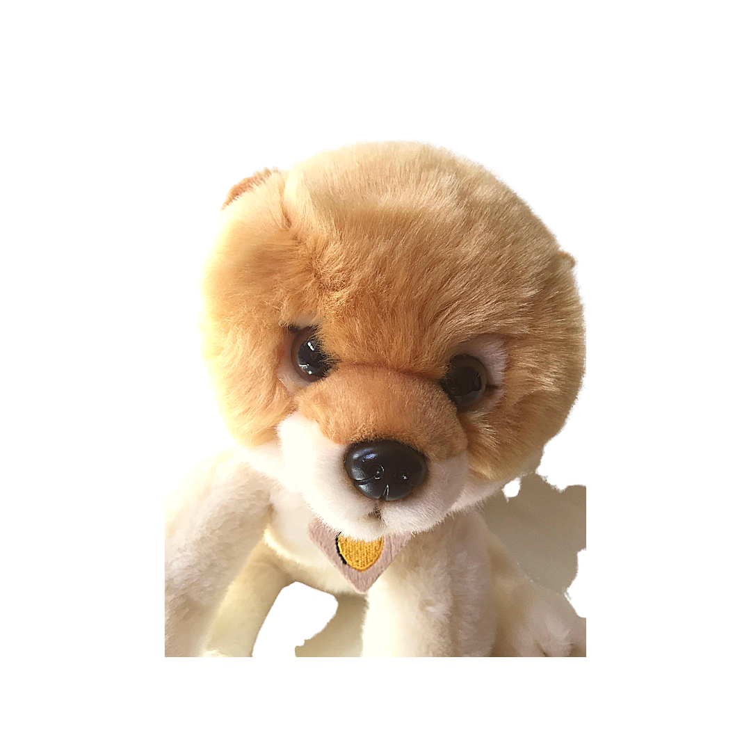 Peluche cane Pomeranian - 2014