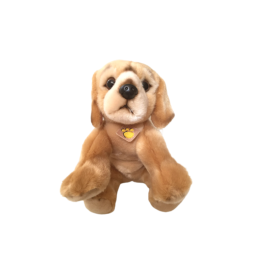 Peluche cane Golden Retriver - 2013