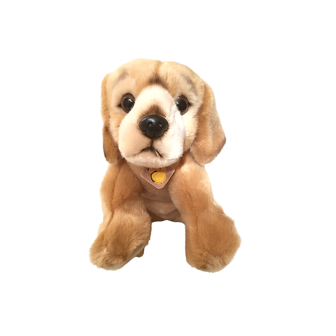 Peluche cane Golden Retriver - 2013