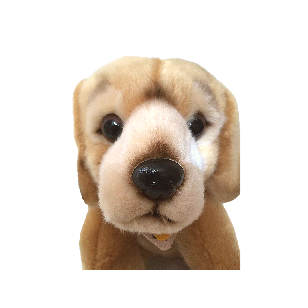 Peluche cane Golden Retriver - 2013