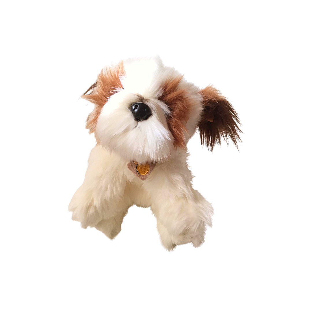 Peluche cane Shih Tzu 2015