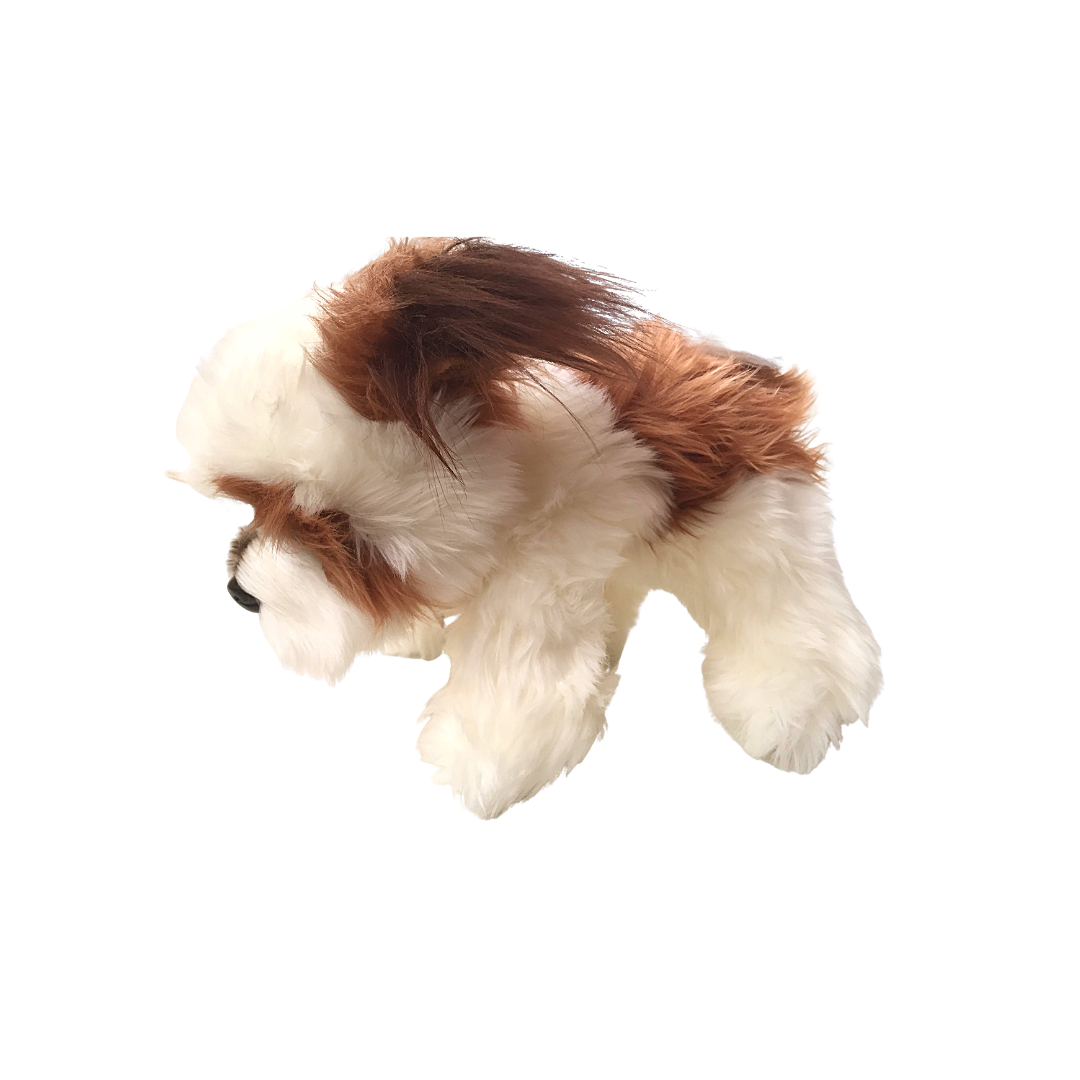 Peluche cane Shih Tzu 2015