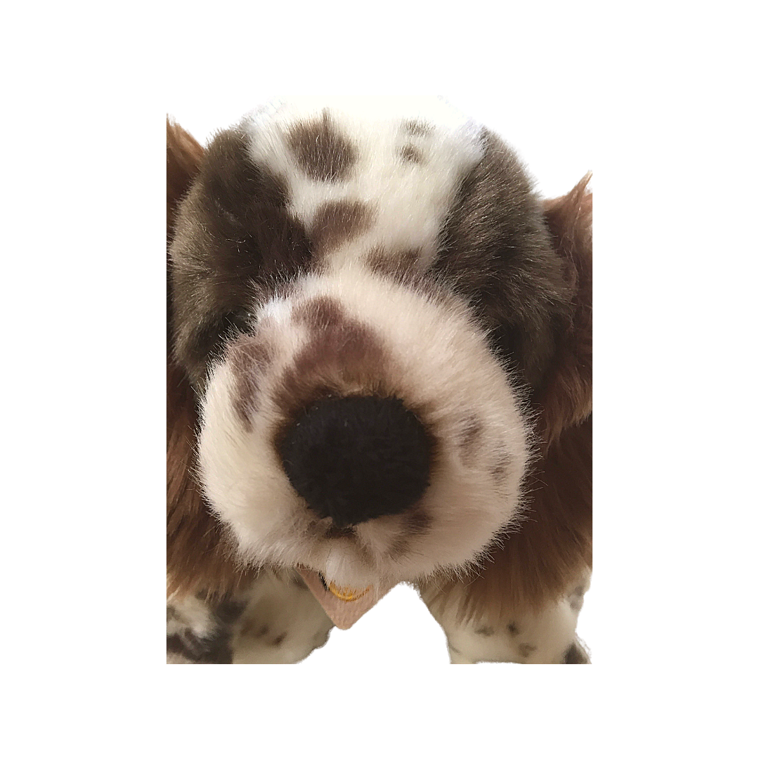 Peluche cane Springer Spaniel 2016