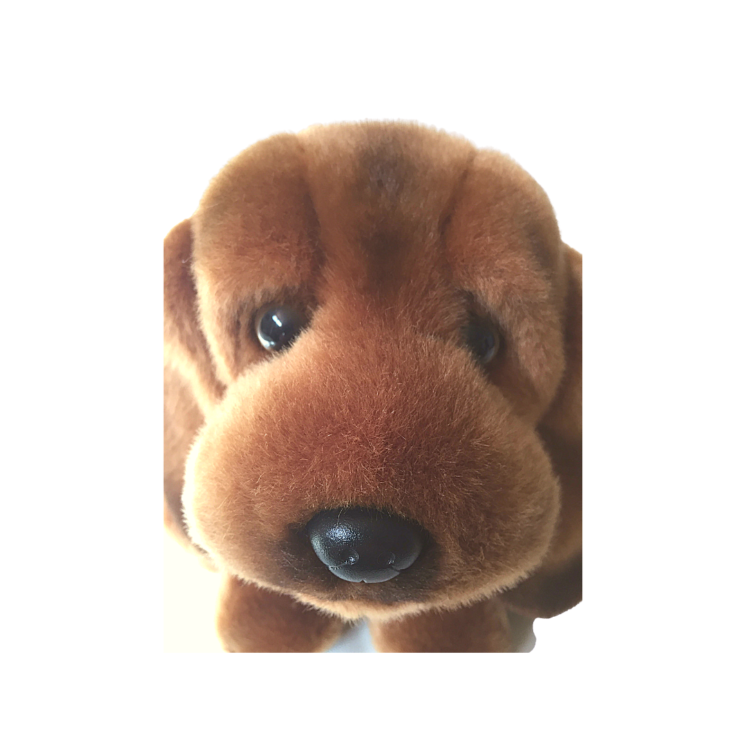 Peluche cane Bassethound - 2011